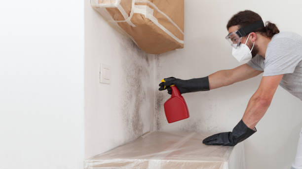 Professional Crawl Space Mold Removal technician working in Dumont, NJ