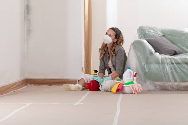 Reliable Crawl Space Mold Removal contractor in Dumont, NJ by WQB Mold Removal